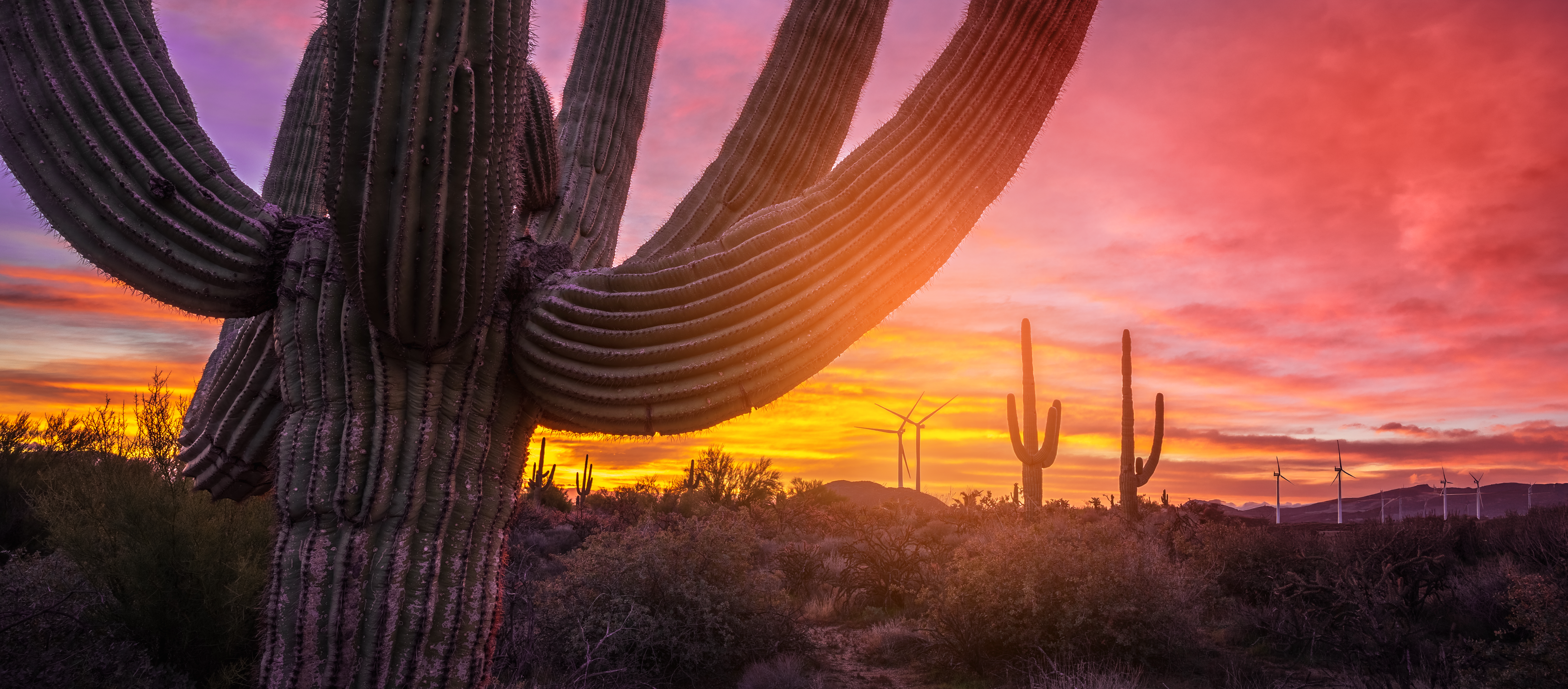 El potencial de Sonora, Sinaloa y Baja California para ser líderes en la transición energética de México