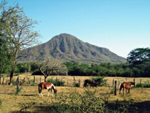 Rancho cosala