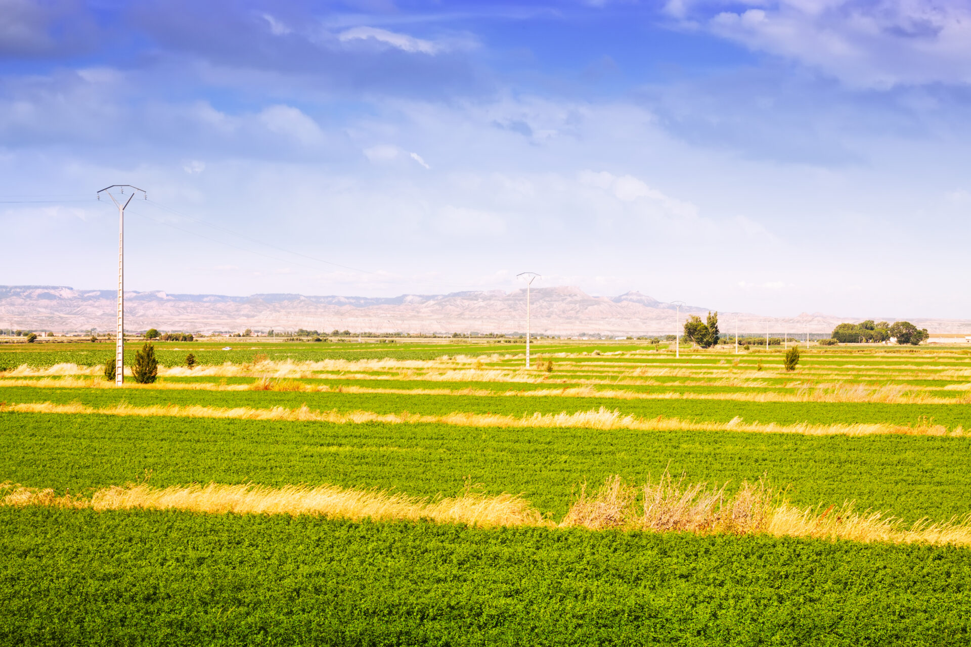 Energía y agricultura: Los nuevos motores de Sinaloa para el cambio